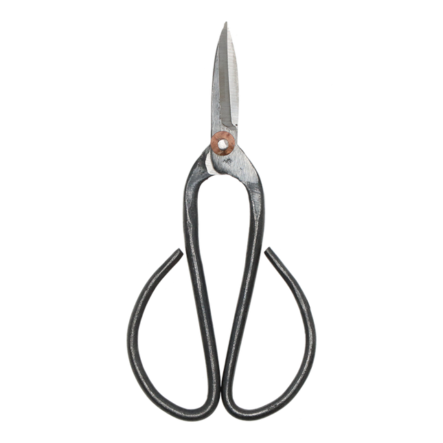Bonsai Shears L - 19 Cm - Bonsai Tool