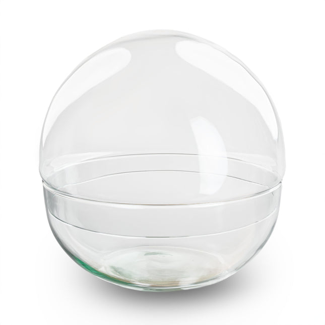 Dome - Globe Glass - Bell Jar - Closed Terrarium ↑20 Cm