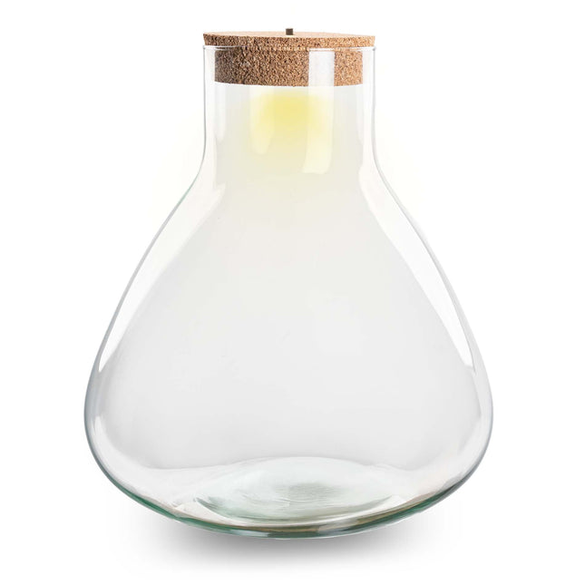 Terrarium With Cork - Sam Xl With Led Cork - ↑ 32 Cm