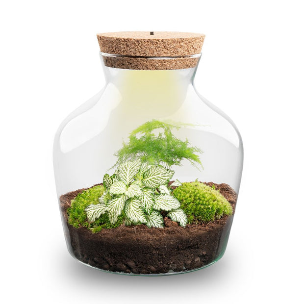 Terrarium Little Joe - Ø 20 Cm ↑ 22 Cm - Relatiegeschenk